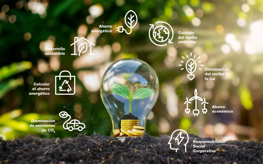 Reformas sostenibles y eficiencia energética