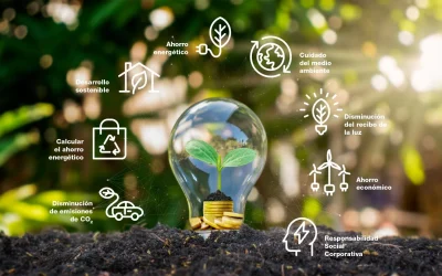 Reformas sostenibles y eficiencia energética